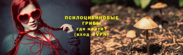 apvp Верея