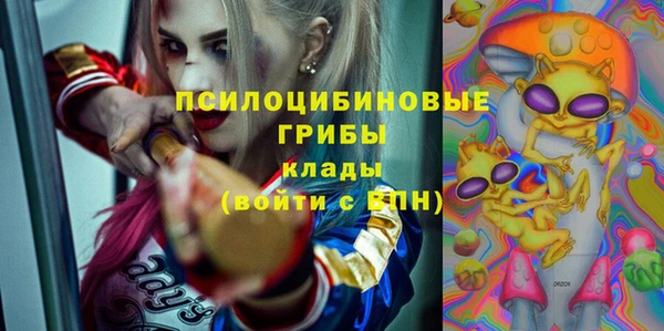 МДПВ Верхнеуральск