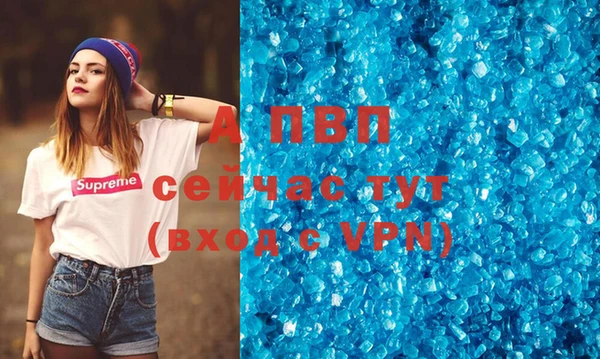 apvp Верея