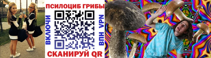 ОМГ ОМГ ONION где найти Новое Девяткино Псилоцибиновые грибы мицелий
